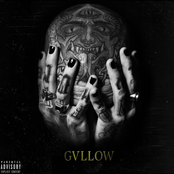 Gvllow – GVLLOW