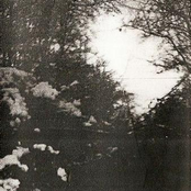 The 3rd Winter