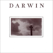 Darwin