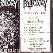 Exasperating Slow Dissection