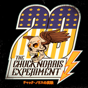 The Chuck Norris Experiment – Twenty