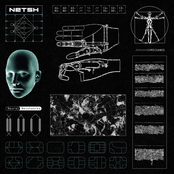 Neural Netshworks