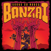Seeds to Roots