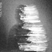 Birth in Vitro