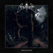 Nocturnes