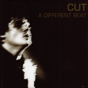 A Different Beat