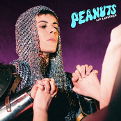 Peanuts (Deluxe) cover