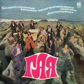 Azerbaijan Vocal and Instrumental Ensemble