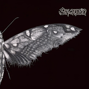 discography
