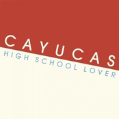 High School Lover