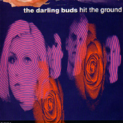 Hit the ground cover