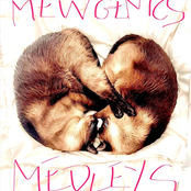 Mewgenics Medleys