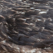 Árstíðir – Árstíðir
