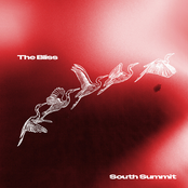 South Summit – The Bliss