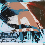 sylvia (i won't belong to you)