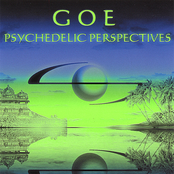 Psychedelic Perspectives