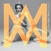 Peak (Stripped) cover