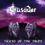 Tigers of the Night