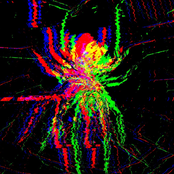 arachna