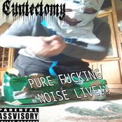 Pure Fucking Noise Live!!