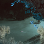 Death of the Wolf