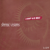 Shrinic Visions