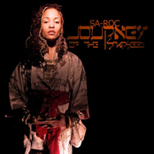Journey of the starseed
