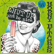 Shut up and Be Nice cover