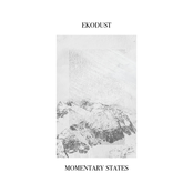 Momentary States