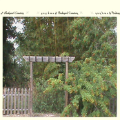 Backyard Cemetery