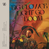 Big Flower Light Go Boom