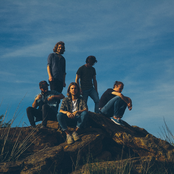 Some Sprouts – IMMT