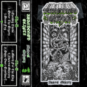 Skeletal Majesty