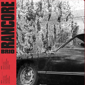 Brio