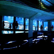 A Day at the Aquarium