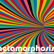 metamorphosis