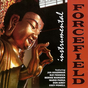 Instrumental