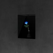 Beyond