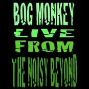 Live From The Noisy Beyond