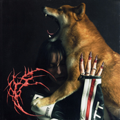 Olga Myko – Shiba