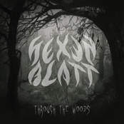 Through the woods
