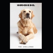 The Challenge