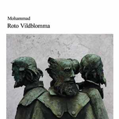 Roto Vildblomma