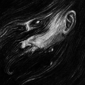 No Honour 7