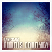 Turris Eburnea