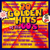 20 Golden Hits of the 60's