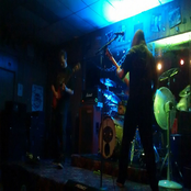 Live at the Forestville Club