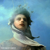 The Quiet Earth