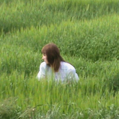 Field