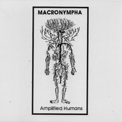 Amplified Humans